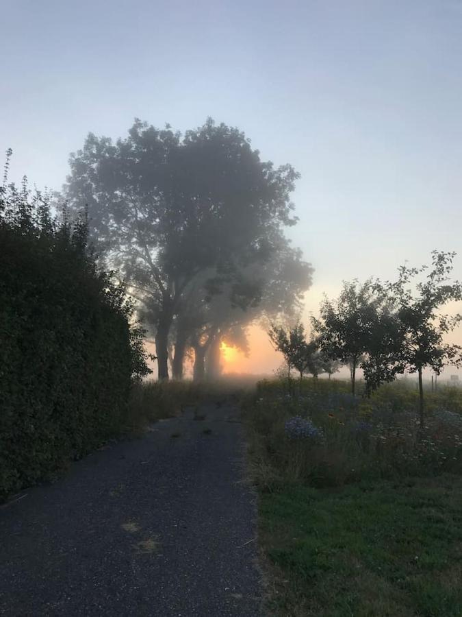 Zomerdijk-Inn Zuid Wanneperveen 外观 照片